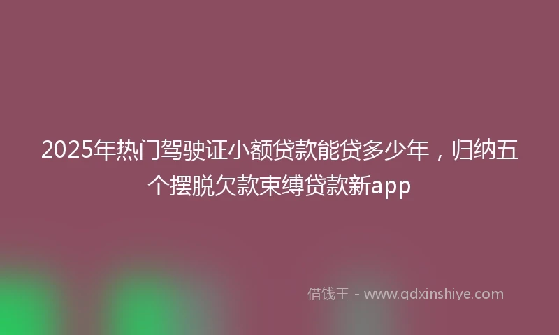 2025年热门驾驶证小额贷款能贷多少年，归纳五个摆脱欠款束缚贷款新app