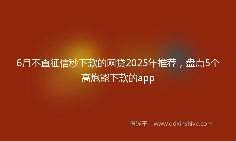 6月不查征信秒下款的网贷2025年推荐，盘点5个高炮能下款的app