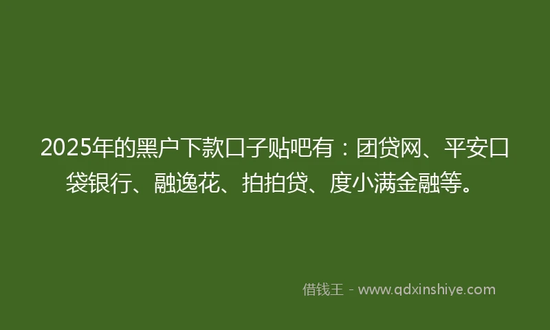 2025年的黑户下款口子贴吧有：团贷网、平安口袋银行、融逸花、拍拍贷、度小满金融等。