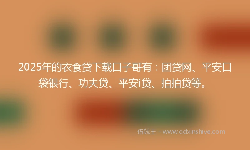 2025年的衣食贷下载口子哥有：团贷网、平安口袋银行、功夫贷、平安i贷、拍拍贷等。
