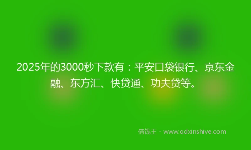 2025年的3000秒下款有：平安口袋银行、京东金融、东方汇、快贷通、功夫贷等。