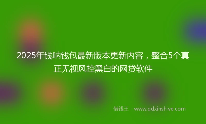 2025年钱呐钱包最新版本更新内容，整合5个真正无视风控黑白的网贷软件
