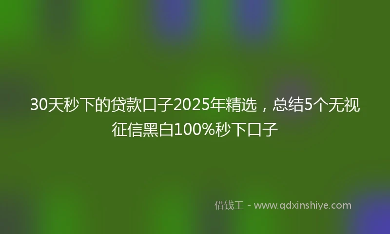 30天秒下的贷款口子2025年精选，总结5个无视征信黑白100%秒下口子