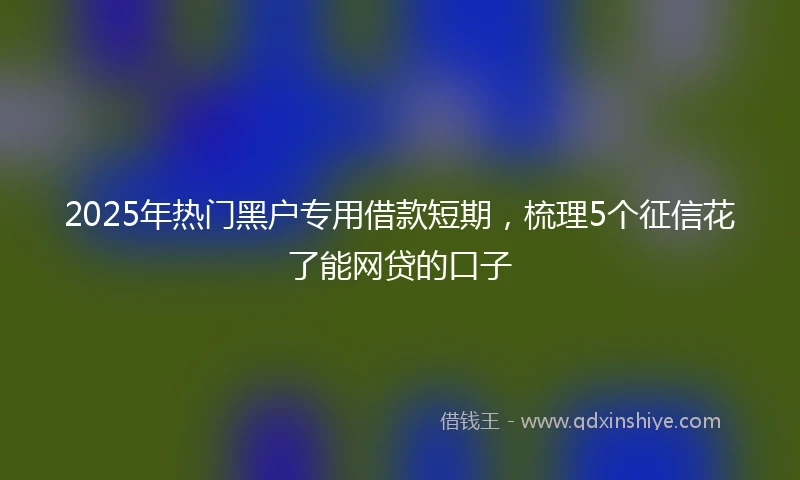 2025年热门黑户专用借款短期，梳理5个征信花了能网贷的口子