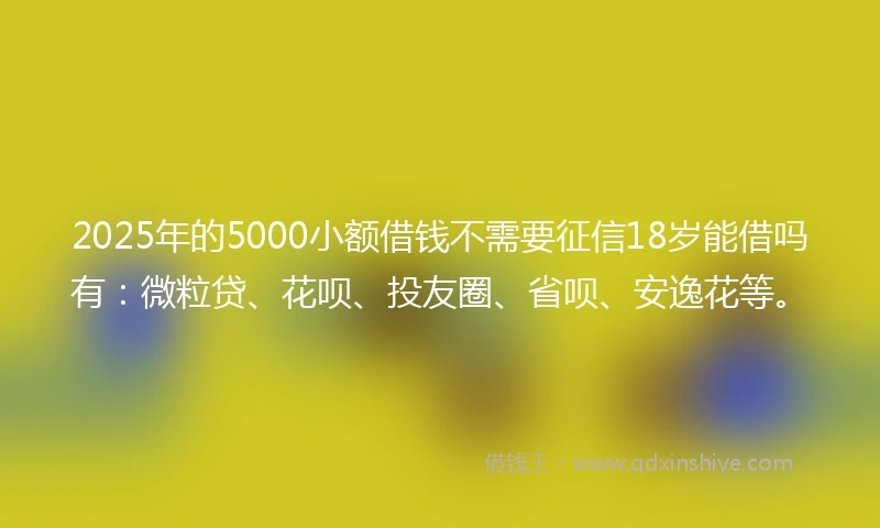2025年的5000小额借钱不需要征信18岁能借吗有：微粒贷、花呗、投友圈、省呗、安逸花等。