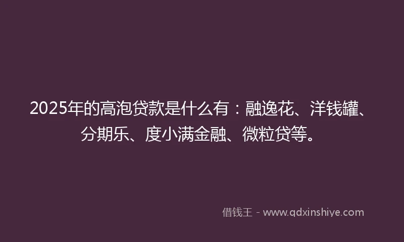 2025年的高泡贷款是什么有:融逸花、洋钱罐、分期乐、度小满金融、微粒贷等。