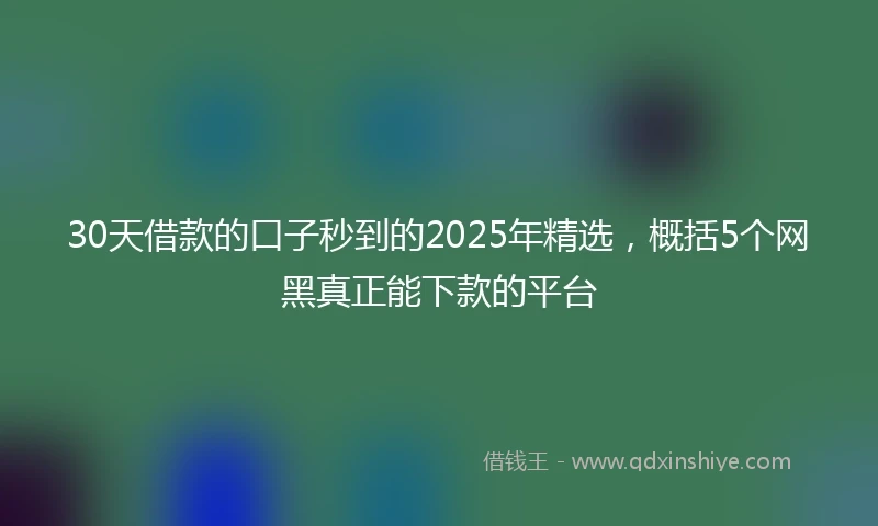 30天借款的口子秒到的2025年精选，概括5个网黑真正能下款的平台