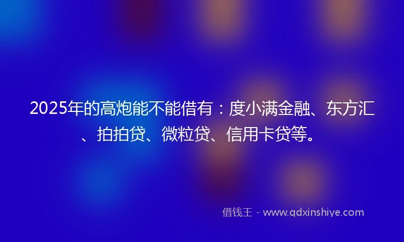 2025年的高炮能不能借有：度小满金融、东方汇、拍拍贷、微粒贷、信用卡贷等。