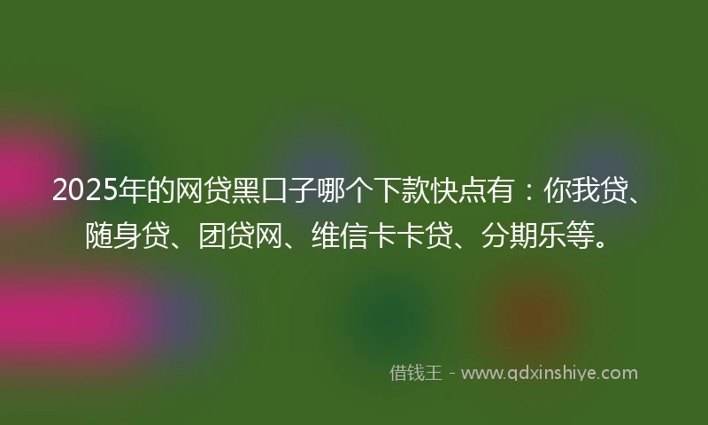 2025年的网贷黑口子哪个下款快点有：你我贷、随身贷、团贷网、维信卡卡贷、分期乐等。