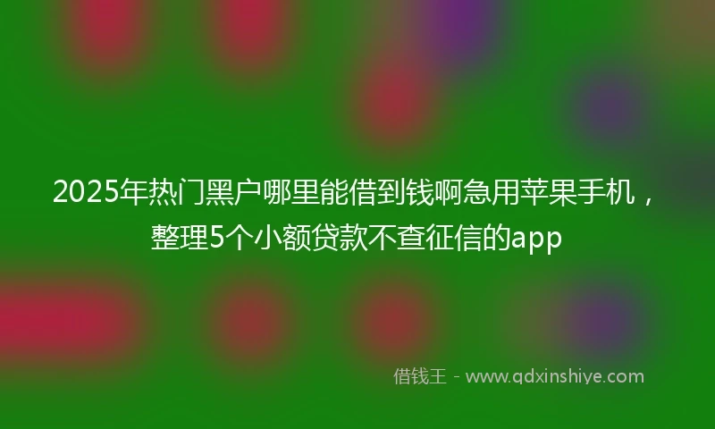 2025年热门黑户哪里能借到钱啊急用苹果手机，整理5个小额贷款不查征信的app