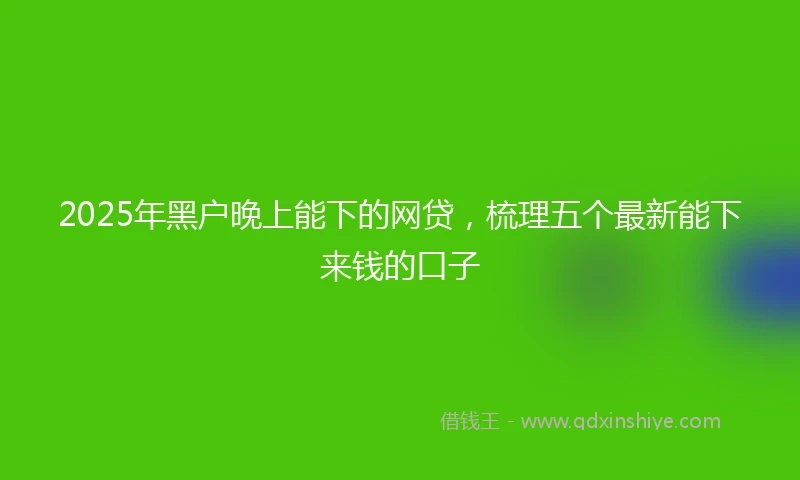2025年黑户晚上能下的网贷，梳理五个最新能下来钱的口子
