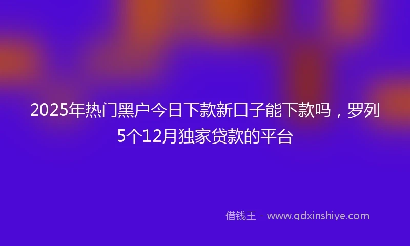 2025年热门黑户今日下款新口子能下款吗，罗列5个12月独家贷款的平台
