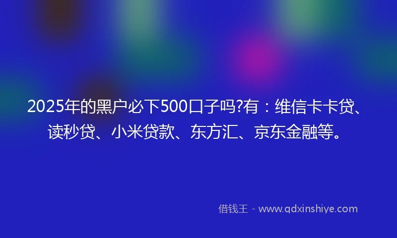2025年的黑户必下500口子吗?有：维信卡卡贷、读秒贷、小米贷款、东方汇、京东金融等。