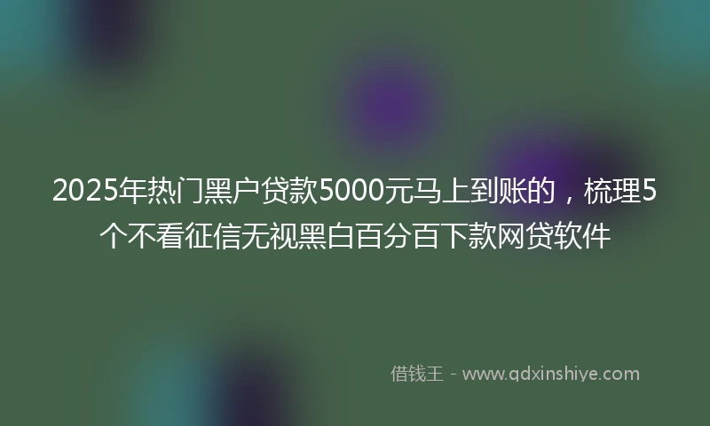 2025年热门黑户贷款5000元马上到账的，梳理5个不看征信无视黑白百分百下款网贷软件