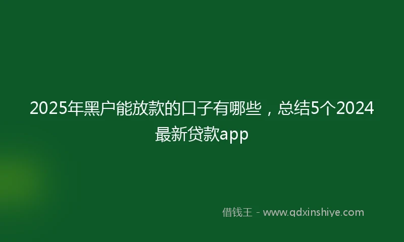 2025年黑户能放款的口子有哪些，总结5个2024最新贷款app