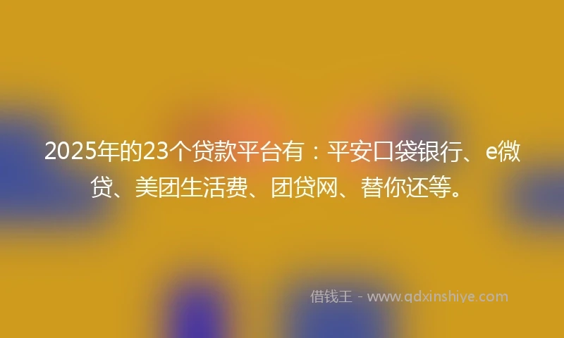 2025年的23个贷款平台有：平安口袋银行、e微贷、美团生活费、团贷网、替你还等。