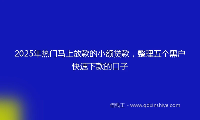 2025年热门马上放款的小额贷款，整理五个黑户快速下款的口子