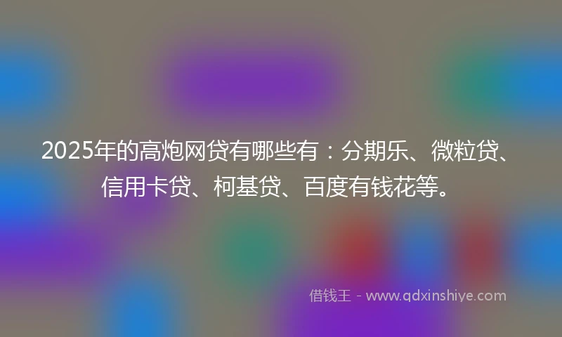 2025年的高炮网贷有哪些有：分期乐、微粒贷、信用卡贷、柯基贷、百度有钱花等。