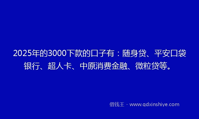 2025年的3000下款的口子有：随身贷、平安口袋银行、超人卡、中原消费金融、微粒贷等。