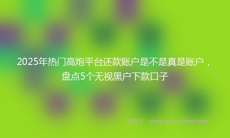 2025年热门高炮平台还款账户是不是真是账户，盘点5个无视黑户下款口子