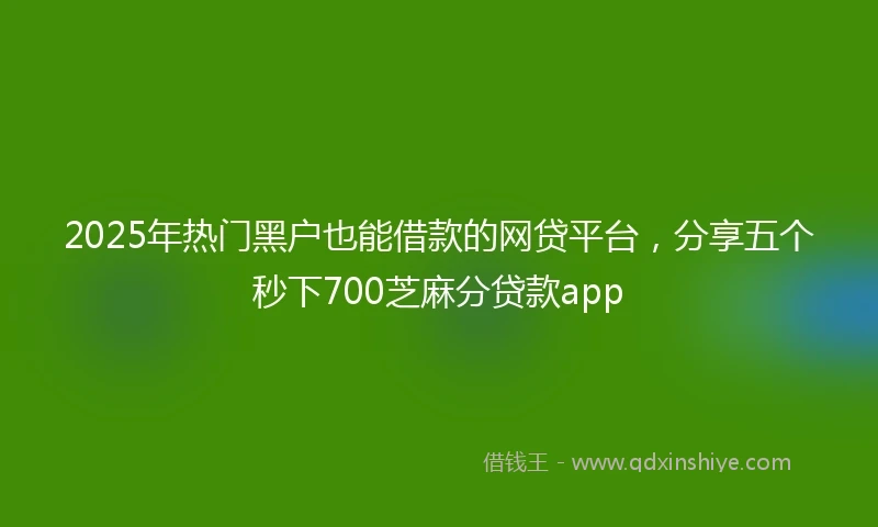 2025年热门黑户也能借款的网贷平台，分享五个秒下700芝麻分贷款app