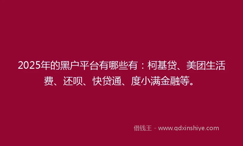 2025年的黑户平台有哪些有：柯基贷、美团生活费、还呗、快贷通、度小满金融等。
