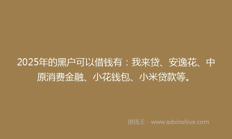2025年的黑户可以借钱有：我来贷、安逸花、中原消费金融、小花钱包、小米贷款等。