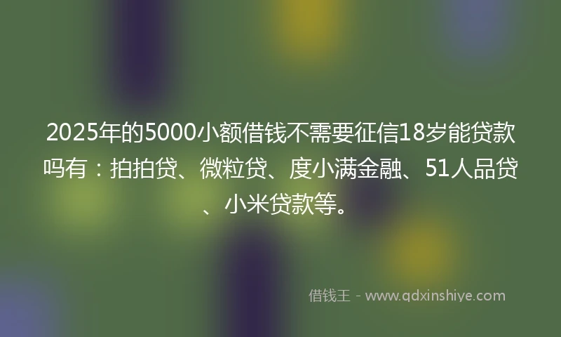 2025年的5000小额借钱不需要征信18岁能贷款吗有：拍拍贷、微粒贷、度小满金融、51人品贷、小米贷款等。