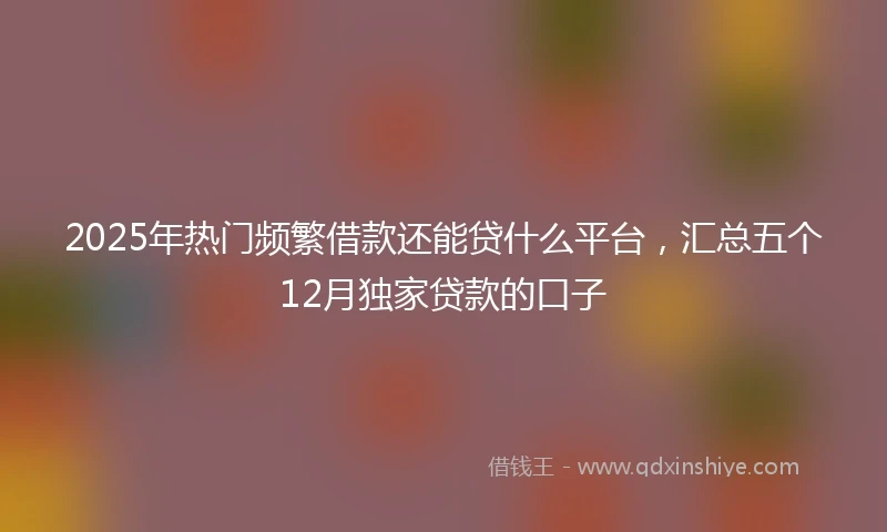 2025年热门频繁借款还能贷什么平台，汇总五个12月独家贷款的口子