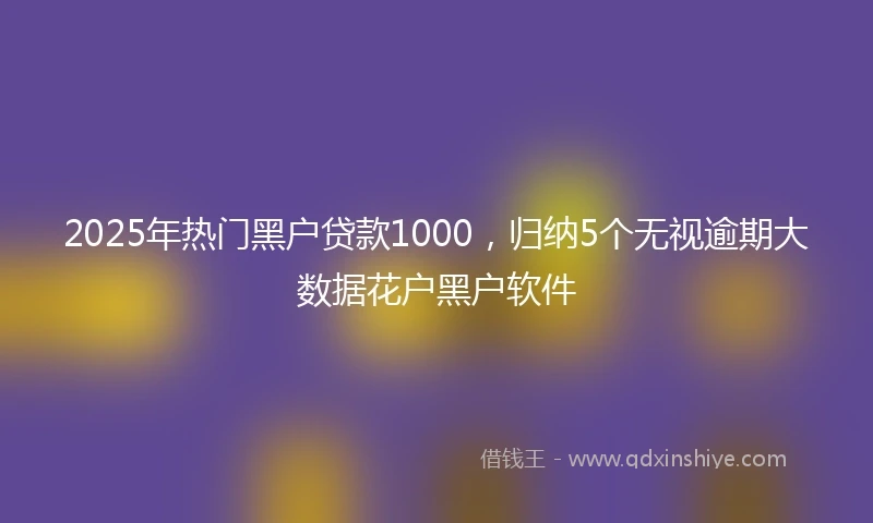 2025年热门黑户贷款1000，归纳5个无视逾期大数据花户黑户软件