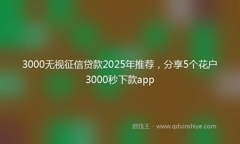 3000无视征信贷款2025年推荐，分享5个花户3000秒下款app