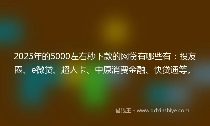 2025年的5000左右秒下款的网贷有哪些有：投友圈、e微贷、超人卡、中原消费金融、快贷通等。