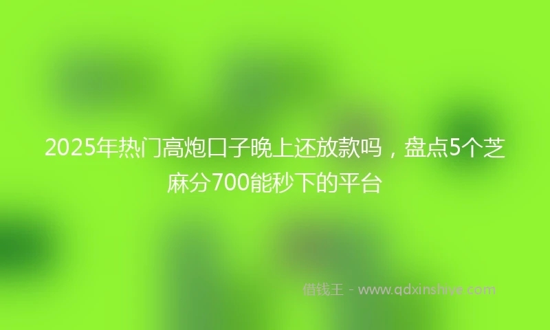 2025年热门高炮口子晚上还放款吗，盘点5个芝麻分700能秒下的平台
