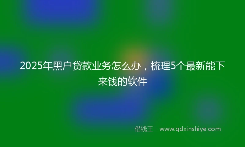 2025年黑户贷款业务怎么办，梳理5个最新能下来钱的软件