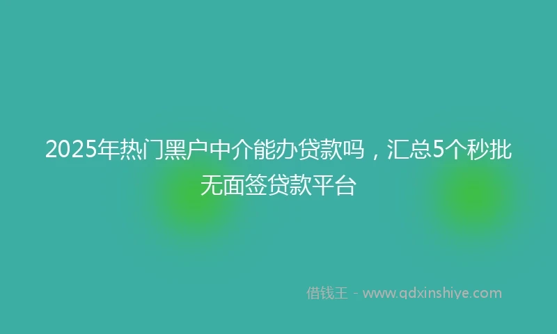 2025年热门黑户中介能办贷款吗，汇总5个秒批无面签贷款平台