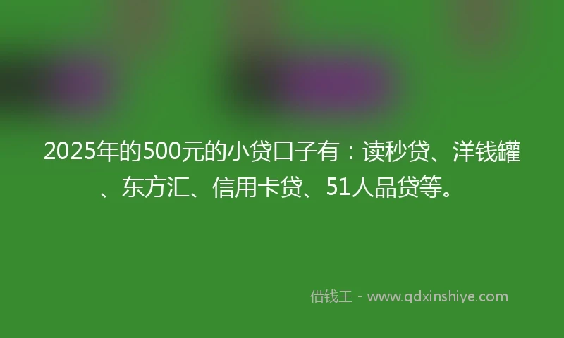 2025年的500元的小贷口子有：读秒贷、洋钱罐、东方汇、信用卡贷、51人品贷等。