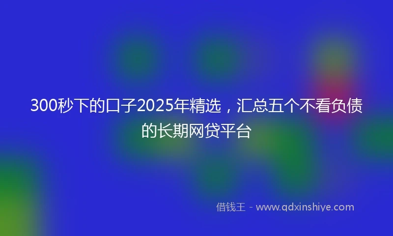 300秒下的口子2025年精选，汇总五个不看负债的长期网贷平台
