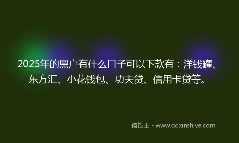 2025年的黑户有什么口子可以下款有：洋钱罐、东方汇、小花钱包、功夫贷、信用卡贷等。