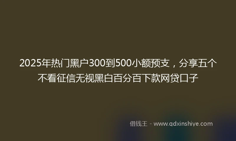 2025年热门黑户300到500小额预支，分享五个不看征信无视黑白百分百下款网贷口子