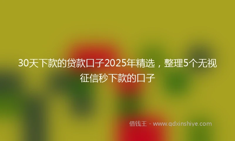 30天下款的贷款口子2025年精选，整理5个无视征信秒下款的口子