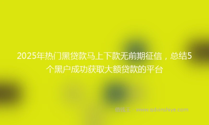2025年热门黑贷款马上下款无前期征信，总结5个黑户成功获取大额贷款的平台