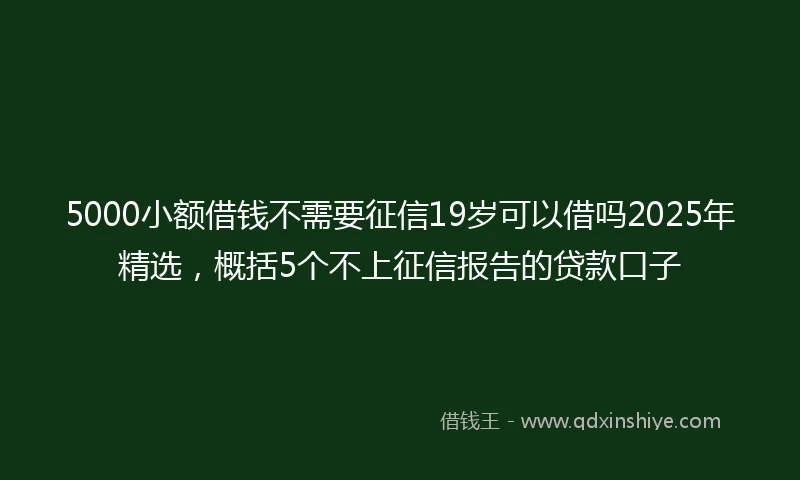 5000小额借钱不需要征信19岁可以借吗2025年精选，概括5个不上征信报告的贷款口子
