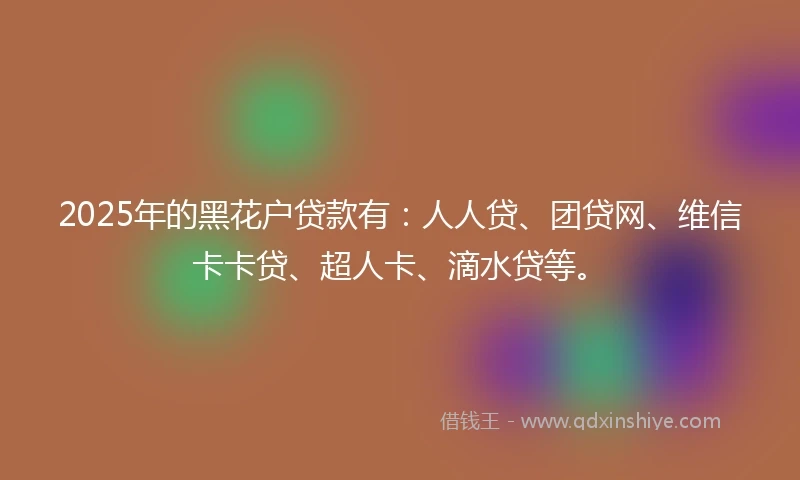 2025年的黑花户贷款有：人人贷、团贷网、维信卡卡贷、超人卡、滴水贷等。