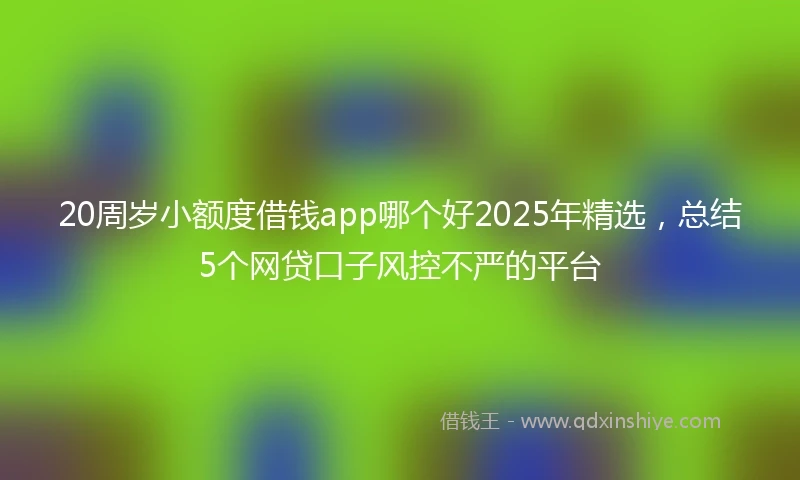 20周岁小额度借钱app哪个好2025年精选，总结5个网贷口子风控不严的平台