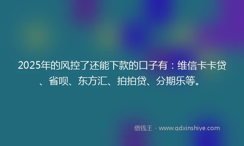 2025年的风控了还能下款的口子有：维信卡卡贷、省呗、东方汇、拍拍贷、分期乐等。