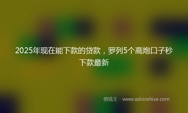 2025年现在能下款的贷款，罗列5个高炮口子秒下款最新
