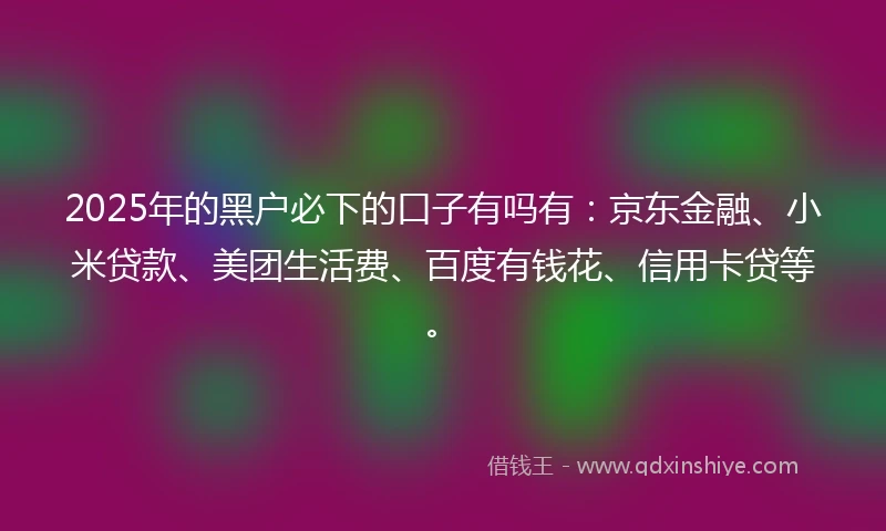 2025年的黑户必下的口子有吗有：京东金融、小米贷款、美团生活费、百度有钱花、信用卡贷等。