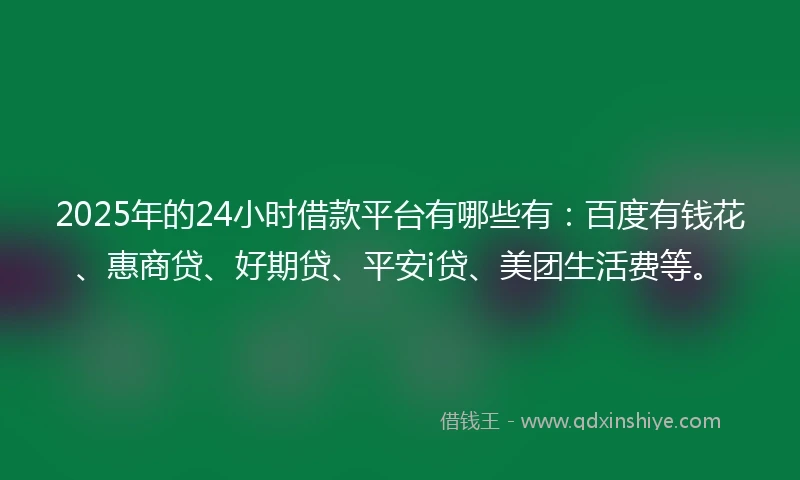 2025年的24小时借款平台有哪些有：百度有钱花、惠商贷、好期贷、平安i贷、美团生活费等。