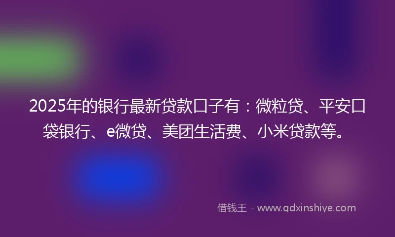 2025年的银行最新贷款口子有：微粒贷、平安口袋银行、e微贷、美团生活费、小米贷款等。