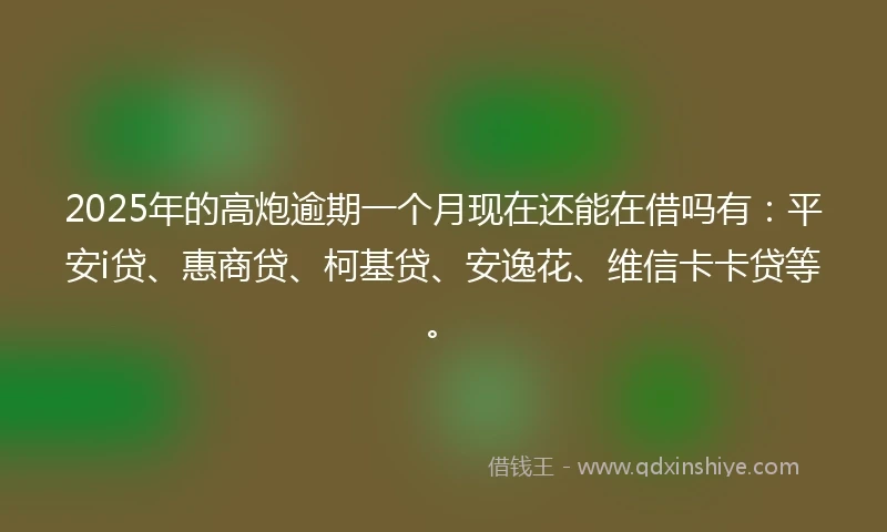 2025年的高炮逾期一个月现在还能在借吗有：平安i贷、惠商贷、柯基贷、安逸花、维信卡卡贷等。
